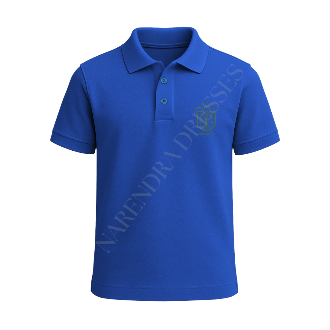 DPS School House Tshirt