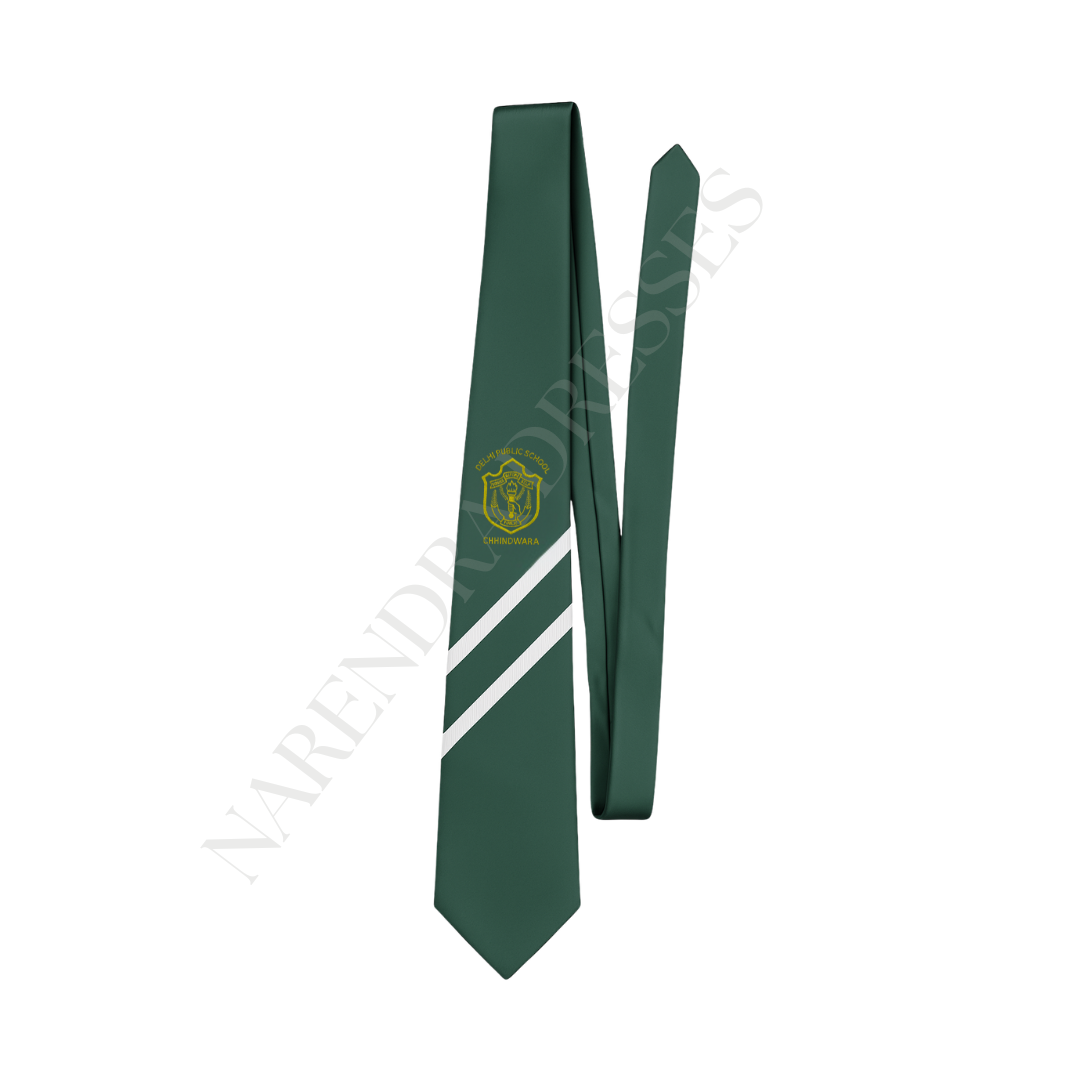 DPS School Tie