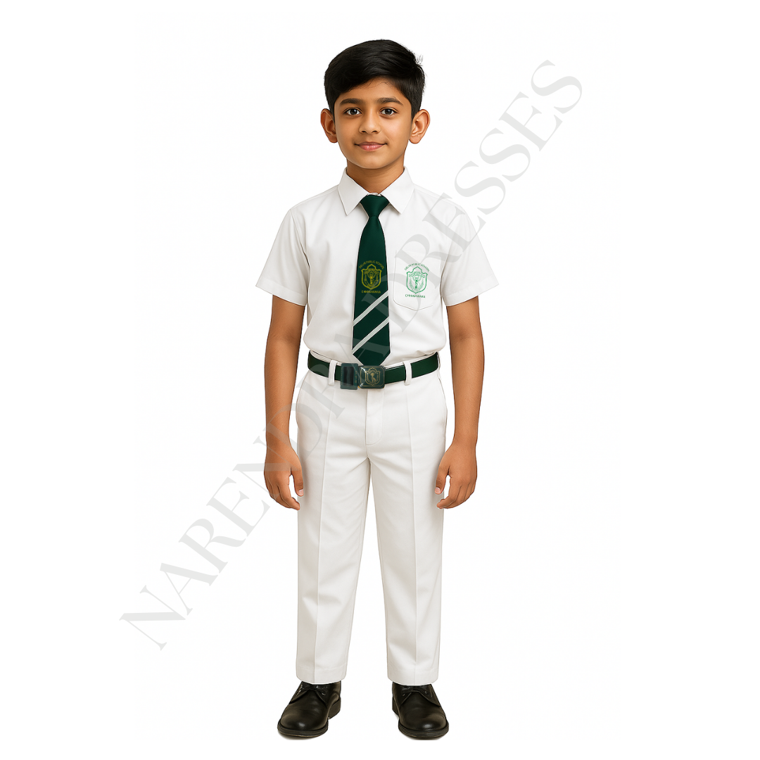 DPS School Tie